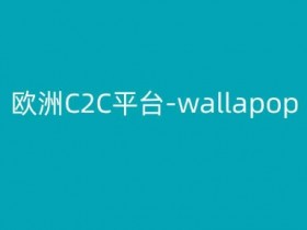 欧洲C2C平台-wallapop-kim跨境电商教程-天天学吧