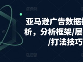 亚马逊广告数据拆解分析，分析框架/层级优化/打法技巧-天天学吧