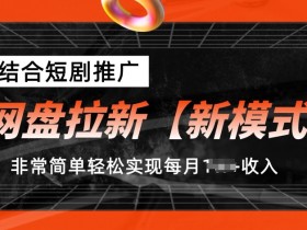 网盘拉新【新模式】，结合短剧推广，听话照做，非常简单轻松实现每月1w+收入【揭秘】-天天学吧