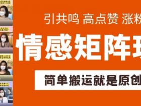 简单搬运，情感矩阵玩法，涨粉速度快，可带货，可起号【揭秘】-天天学吧