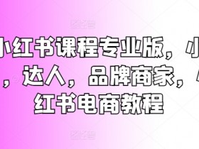 小红书课程专业版，小白，达人，品牌商家，小红书电商教程-天天学吧