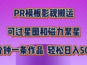 PR模板影视搬运，简单操作即可过原创，可过星图和磁力聚星，轻松日入几张【揭秘】-天天学吧