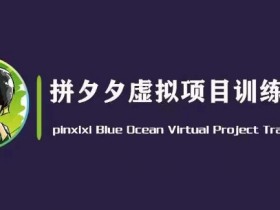 黄岛主·拼夕夕虚拟变现3.0，蓝海平台的虚拟项目，单天50-500+纯利润-天天学吧