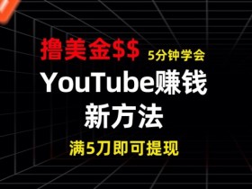 YouTube赚钱新方法，5分钟即可掌握，7天收入近7百美金，收益无上限-天天学吧