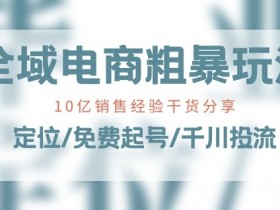 全域电商-粗暴玩法课：10亿销售经验干货分享!定位/免费起号/千川投流-天天学吧