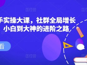 社群操盘手实操大课，社群全局增长成交实操，小白到大神的进阶之路-天天学吧