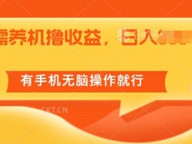 无需养机撸收益，单机日入55+，有手机无脑操作就行-天天学吧