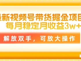 最新视频号带货掘金项目，每月稳定月收益1w+，解放双手，可放大操作-天天学吧