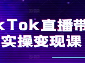 TikTok直播带货实操变现课：系统起号、科学复盘、变现链路、直播配置、小店操作流程、团队搭建等。-天天学吧