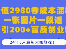 价值2980零成本混群一张图片一段话日引200+高质创业粉，24年6月最新大咖教程【揭秘】-天天学吧