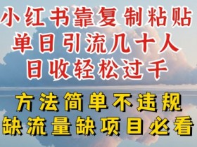 小红书靠复制粘贴单日引流几十人目收轻松过千，方法简单不违规【揭秘】-天天学吧