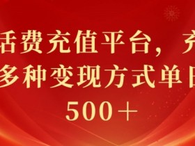 最新花费充值平台，充值88折，多种变现方式单日收益几张-天天学吧