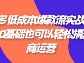 拼多多低成本爆款流实战私教课，0基础也可以轻松搞定电商运营-天天学吧