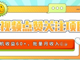 2024短视频平台点赞关注项目，轻松上手，单号收益60+，可批量可推广月收益可破w-天天学吧