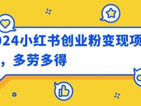 2024小红书创业粉变现项目，每天30分钟100多多劳多得-天天学吧