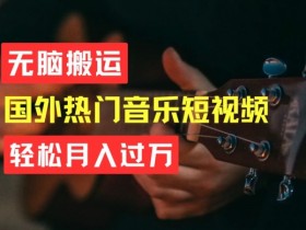 无脑搬运，简单操作音乐短视频，月入过W不是梦【揭秘】-天天学吧