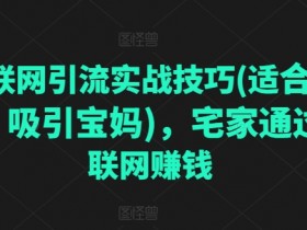 互联网引流实战技巧(适合微商，吸引宝妈)，宅家通过互联网赚钱-天天学吧