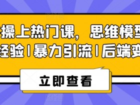 8S实操上热门课，思维模型|实战经验|暴力引流|后端变现-天天学吧