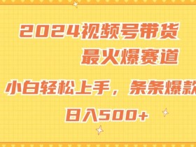 2024视频号超火爆赛道，小白轻松上手，纯原创AI带货，条条爆款-天天学吧