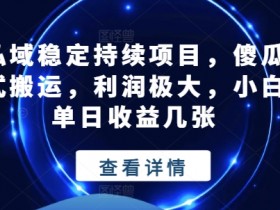 私域稳定持续项目，傻瓜式搬运，利润极大，小白单日收益几张【揭秘】-天天学吧