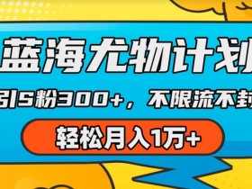 蓝海尤物计划，AI重绘美女视频，日引s粉300+，不限流不封号，轻松月入1w+【揭秘】-天天学吧