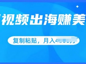 短视频出海赚美金，无脑搬运批量操作，小白轻松掌握-天天学吧