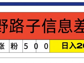 最新《1000个野路子信息差》新玩法，文字视频，单个作品暴粉5000+，小白轻松上手-天天学吧