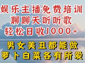 娱乐主播免费培训聊聊天听听歌轻松日收1K+，男女美丑都能做萝卜白菜各有所爱【揭秘】-天天学吧