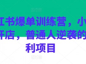 小红书爆单训练营，小红书开店，普通人逆袭的红利项目-天天学吧