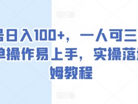 单号日入100+，一人可三号，简单操作易上手，实操落地保姆教程【揭秘】-天天学吧