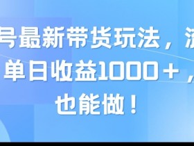 视频号最新带货玩法，流量爆炸，单天就有收益，0粉也能做-天天学吧