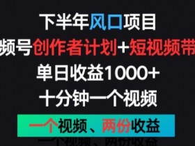 下半年风口项目，视频号创作者计划+视频带货，一个视频两份收益，十分钟一个视频【揭秘】-天天学吧