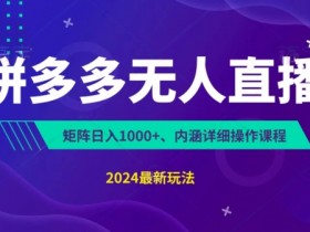 拼多多无人直播不封号，0投入，3天必起，无脑挂机，日入1k+【揭秘】-天天学吧