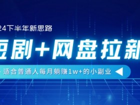 【2024下半年新思路】短剧+网盘拉新，适合普通人每月躺赚1w+的小副业-天天学吧