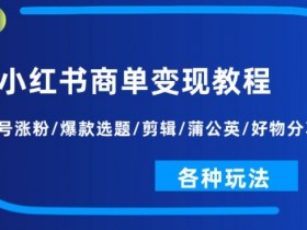 小红书商单变现教程：起号涨粉/爆款选题/剪辑/蒲公英/好物分享/各种玩法-天天学吧