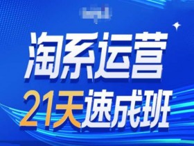 淘系运营24天速成班第28期最新万相台无界带免费流量-天天学吧