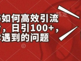 小红书如何高效引流创业粉，日引100+，解决你遇到的问题【揭秘】-天天学吧