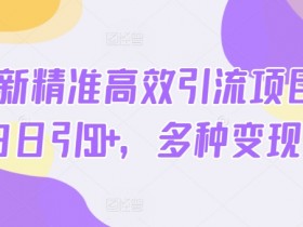 2024最新精准高效引流项目粉，小白日引50+，多种变现方式-天天学吧