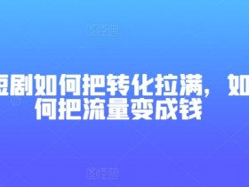 短剧如何把转化拉满，如何把流量变成钱-天天学吧