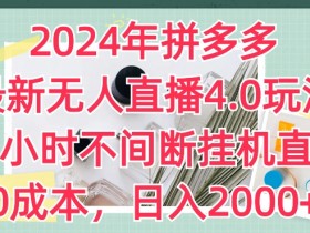 2024年拼多多最新无人直播4.0玩法，24小时不间断挂机直播，0成本，日入2k【揭秘】-天天学吧