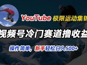 视频号冷门赛道撸收益，YouTube搬运极限运动集锦，暴力起号，操作简单流量高，轻松日入5张【揭秘】-天天学吧