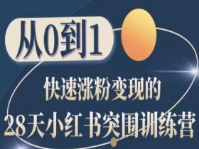 28天小红书突围训练营，从0到1快速涨粉变现-天天学吧