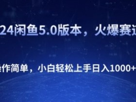 2024闲鱼5.0版本，火爆赛道，操作简单，小白轻松上手日入1K+-天天学吧