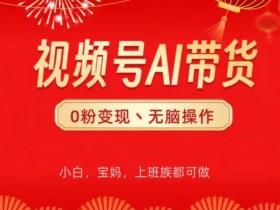 视频号AI带货，无脑操作，小白轻松上手，分分钟爆单-天天学吧