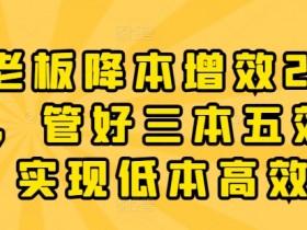 老板降本增效20讲，管好三本五效，实现低本高效-天天学吧