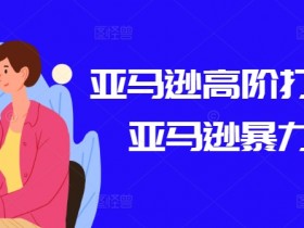 亚马逊高阶打法课，亚马逊暴力打法-天天学吧