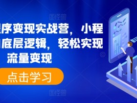 抖音小程序变现实战营，小程序变现的底层逻辑，轻松实现流量变现-天天学吧