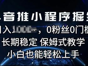 抖音推小程序掘金，0粉丝0门槛，长期稳定，保姆式教学，小白也能轻松上手-天天学吧