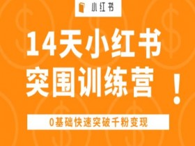 14天小红书突围训练营 ，0基础快速突破千粉变现-天天学吧