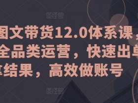 抖音图文带货12.0体系课，主打全品类运营，快速出单拿结果，高效做账号-天天学吧